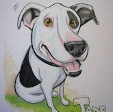 animal caricature dog